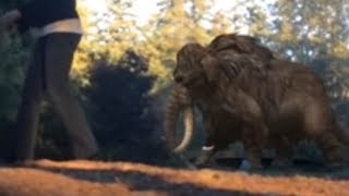 Real Woolly Mammoth Caught on Camera [upl. by Dhar]