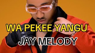 Jay Melody  Wa pekee yangu Lyrics [upl. by Nerro]