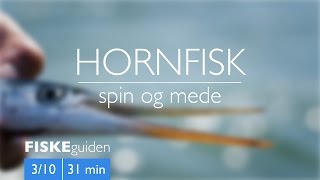 FISKEguiden 310 Hornfisk [upl. by Enilaf402]