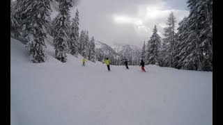 Skiën Flachau Oostenrijk [upl. by Allertse]