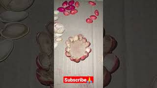 Recycling of pistachio husksاعادة تدوير قشور الفستق افكار [upl. by Welcy]