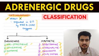 Autonomic Pharmacology  14  Adrenergic Drugs Classification  EOMS [upl. by Onibla730]