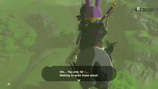 Funny BOTW Horse Glitch [upl. by Bramwell]