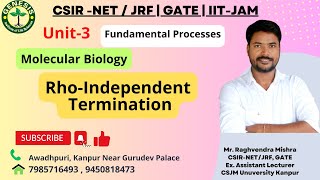 RhoIndependent Termination  RNA synthesis  Prokaryotic Transcription  Lecture18 [upl. by Aerbma]