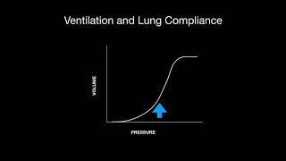 Ventilation Perfusion VQ Mismatch [upl. by Salem]