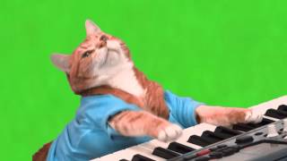 Make Your Own Keyboard Cat  Green Screen [upl. by Eimarej]