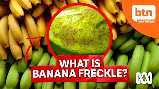 What is Banana Freckle Disease [upl. by Rianon]