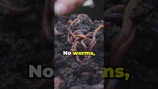 Amazing Worms Earth’s Underrated Garden Helpers [upl. by Nnazus]