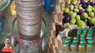 Morocco  Olive oil from the tree to the press [upl. by Broderic]