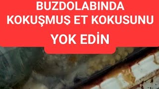 🤗Buzdolabında Kokuşmuş Ağır Et Kokusu Nasıl Giderilir Dolabınızı Çöpe Atmayın Açıklamayı okuyunuz [upl. by Trovillion]