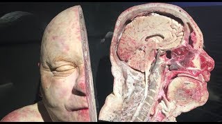 Gerçek İnsan Vücudu Müzesi Body Worlds [upl. by Ahsehyt341]