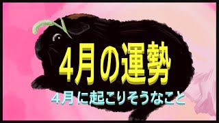 🌶🍀4月に起こりそうなこと🔔おしゃべり：4月に起きる良い事・AiTaroに出来るか❓上げ鑑定🎨タロット🔎オラクル🌈カードリーディング🦄Tarot Card Reading🐰Oracle🐹ルノルマン [upl. by Merv]