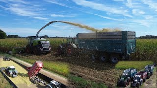 Top départ dans les ENSILAGES DE MAÏS 2024 pour un élevage laitier 🐄🥛🌽  ETA David DESIMPEL [upl. by Krauss]