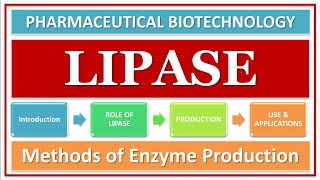 LIPASE ENZYME  ITS FUNCTION amp ROLE  PRODUCTION USING MICROBES  APPLICATIONS  BIOTECHNOLOGY [upl. by Hayarahs]