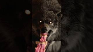 Werewolf The Apocalypse – Earthblood 🤯 shorts ytshorts [upl. by Renae]