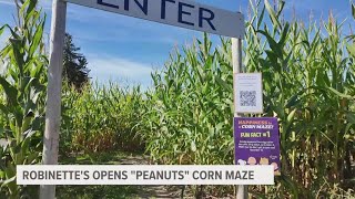 Robinettes corn maze officially open for the season [upl. by Xuerd]