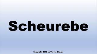 How To Pronounce Scheurebe Wine [upl. by Eiclek]