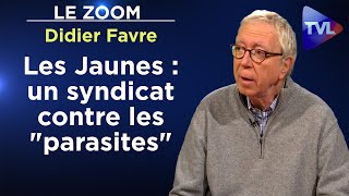 Syndicalisme jaune  le parti des intérêts nationaux  Le Zoom  Didier Favre  TVL [upl. by Epifano]