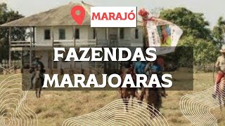 GRANDES FAZENDAS NO MARAJÓ [upl. by Nibram]