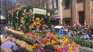 2023 Toowoomba Carnival of Flowers Parade Highlights [upl. by Llerrut]