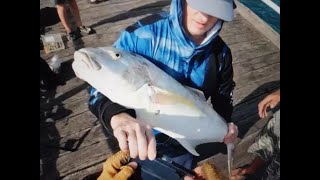 2 Golden Trevally 2 Broad Barred Mackerel [upl. by Ahsyt]