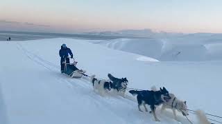 DOG SLEDDING IN WINTERSVALBARD [upl. by Goody748]