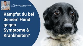 Kämpfst du bei deinem Hund gegen Symptome amp Krankheiten [upl. by Rains]