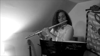 Wishing You Were Somehow Here Again flute cover [upl. by Bock800]