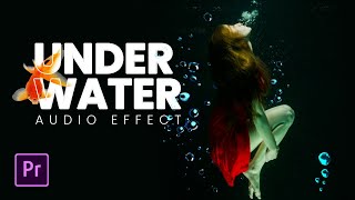 Underwater MUFFLED SOUND Effect in Premiere Pro [upl. by Buller792]