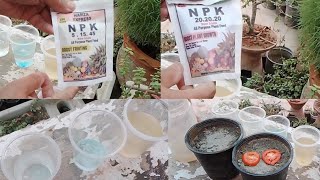 Which Fertilizer is Best For plants Chemical or Organic fertilizerChemical fertilizer vs Organic [upl. by Hctub714]