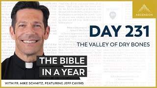 Day 231 The Valley of Dry Bones — The Bible in a Year with Fr Mike Schmitz [upl. by Nnayt]