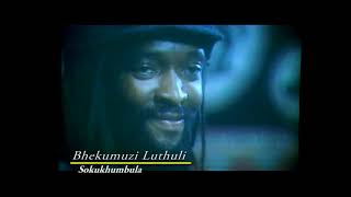 Bhekumuzi Luthuli  Sokukhumbula Official Music Video [upl. by Ydiarf922]