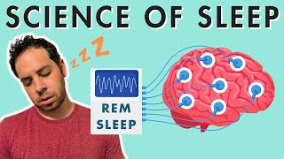 Sleep Stages Sleep Cycle and the Biology of Sleep [upl. by Htebsil]