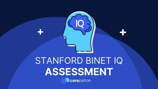 Stanford Binet IQ Test [upl. by Delanty164]