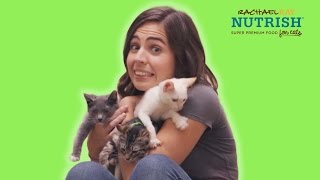 A Couple Rescues A Cat  Presented By BuzzFeed amp Rachael Ray Nutrish [upl. by Henn511]