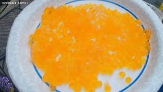 4 Different WaysI Cure Salmon Eggs for Steelhead Bait [upl. by Tra]