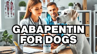 What Is Gabapentin For Dogs Explained [upl. by Millar]