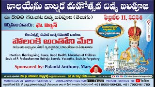 LIVE ANNUAL FEAST OF INFANT JESUS  FEAST HOLY MASS  05 AM  INFANT JESUS SHRINE  EMJALA 1122024 [upl. by Sinoda]