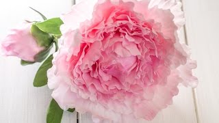 Anleitung einfache Pfingstrose aus Blütenpaste 5 Petal Technik  Gumpaste Peony Tutorial [upl. by Eppes]