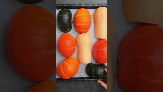 How To Make Pumpkin Puree [upl. by Arual307]