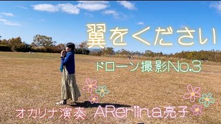 翼をください オカリナ AReriina亮子 [upl. by Kironde]