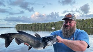 Cast Netting SHRIMP and Catching CATFISH  Catch Clean Cook [upl. by Xavler]