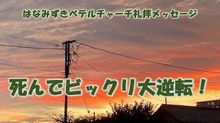 20240804「死んでビックリ大逆転！」ルカ1614151931 はなみずきベテルチャーチ 主日礼拝メッセージ 西住啓牧師 [upl. by Ecila364]