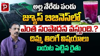 Farmer Maruthi Prasad About Jamun Juice Business  Neredu Pallu Business  Telugu Popular TV [upl. by Ennaihs]