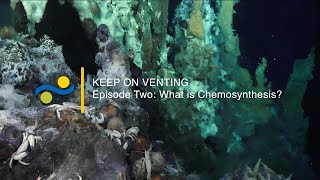 Keep On Venting  Ep 2  What is Chemosynthesis [upl. by Iggie552]