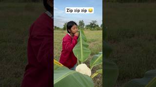 Zip zip zip 😂 edit funny wildrice zipzip [upl. by Leihcim]