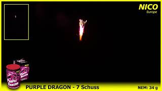 Purple Dragon 7SchussFeuerwerkBatterie [upl. by Alket83]