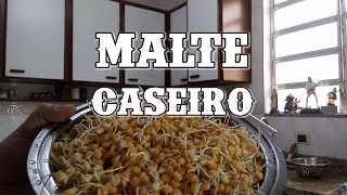 Como fazer malte O guia do malte caseiro [upl. by Tem516]