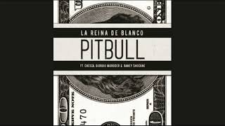 Pitbull Ft Chesca Giorgio Moroner Raney Shockne  La Reina de Blanco Audio [upl. by Silva]