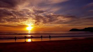 Surf Life Savers training as the sun rises at Manly Beach [upl. by Anirtal]